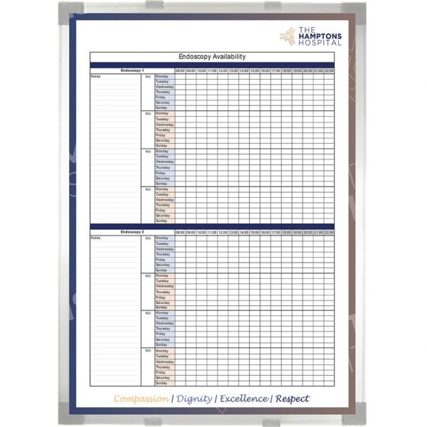 <div class="h4"><B>Endoscopy Availability Board</B></div><div class="caption-text">A 90 x 120 cm portrait NHS Planning Board to show what availablilty there is in Endoscopy</div>
